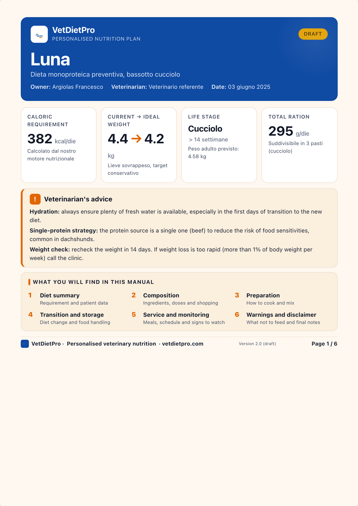 Branded PDF report with your practice logo