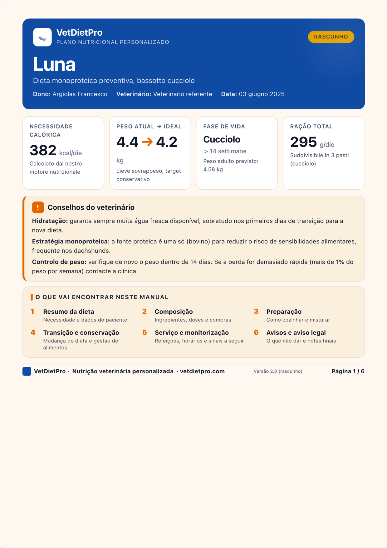 Relatório PDF com o logótipo da sua clínica